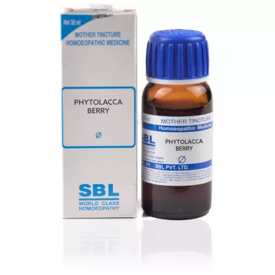 SBL Pinus Lambertiana 1X (Q) (30ml)