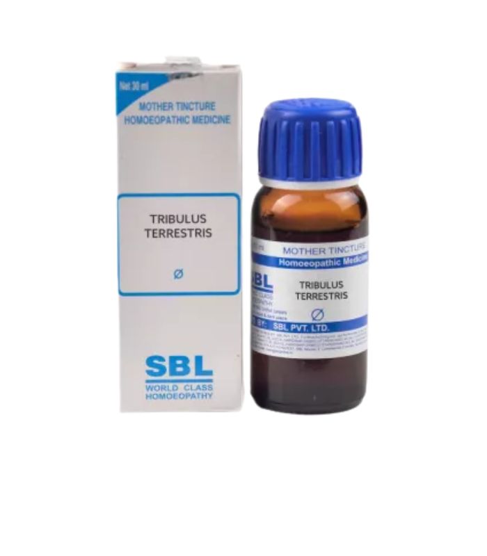 SBL Trichosanthes Dioica 1X (Q) (30ml)